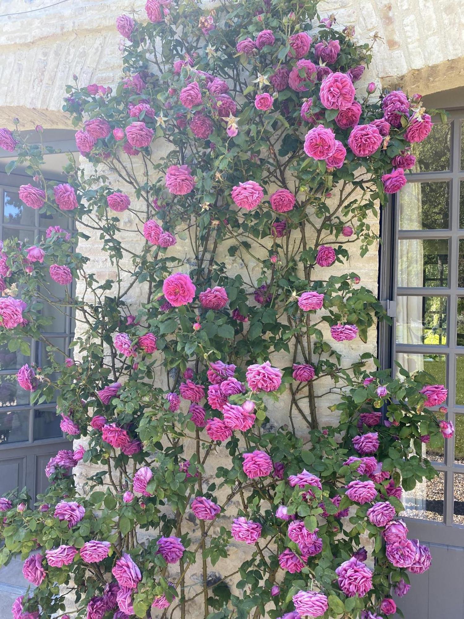 La Maison D'aline 2*