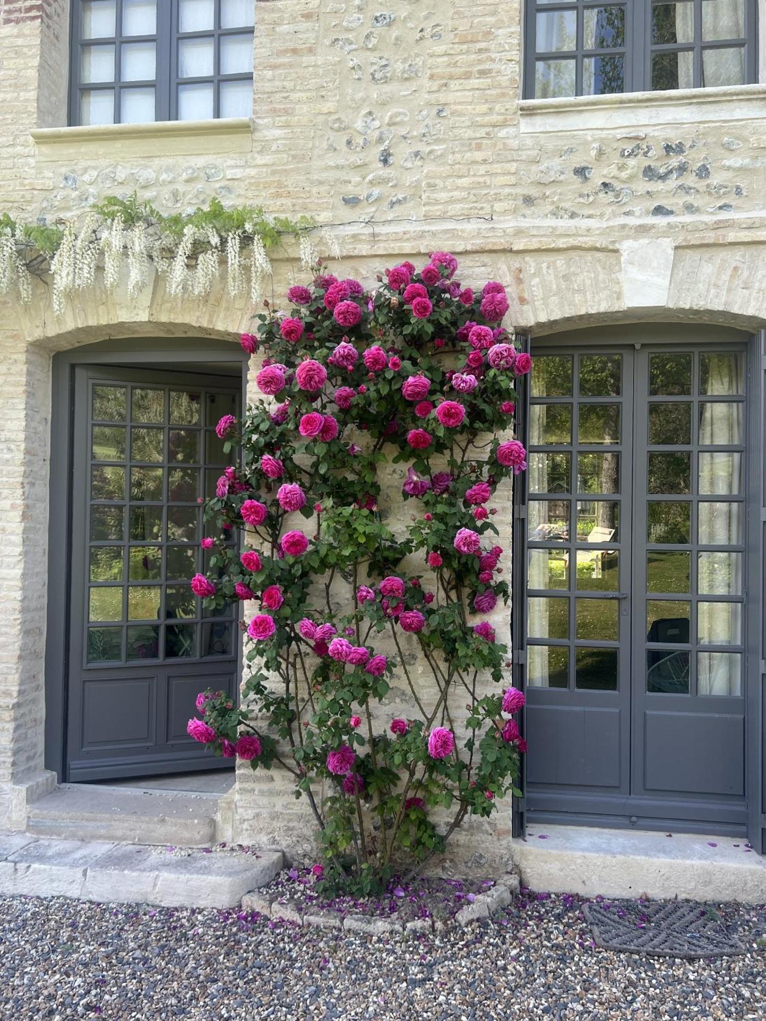 La Maison D'aline Pennedepie